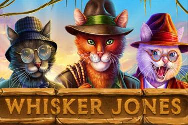 Информация за играта Whisker jones