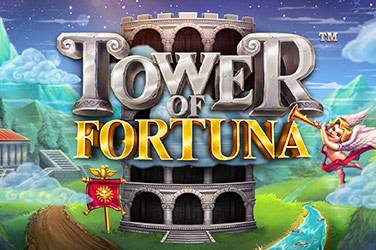 Информация за играта Tower of fortuna