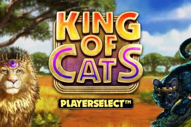 King of cats Slot Demo Gratis
