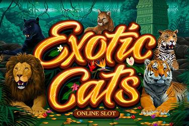 Exotic cats Slot