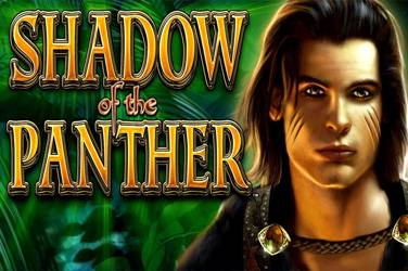 Shadow of the panther