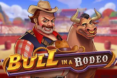 Bull in a rodeo