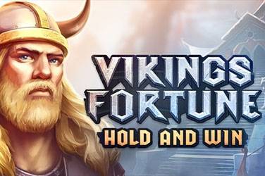 Vikings fortune: hold and win Slot