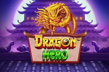 Dragon hero