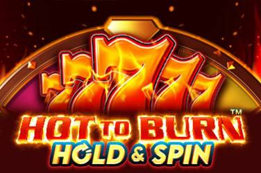 Информация за играта Hot to burn hold and spin