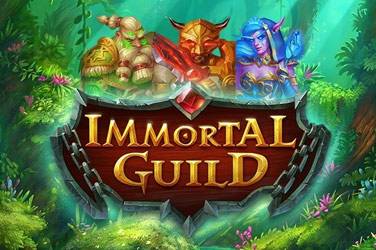 Информация за играта Immortal guild