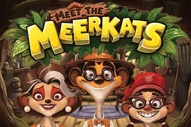 Meet the meerkats