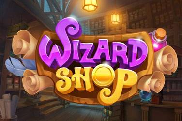 Информация за играта Wizard shop
