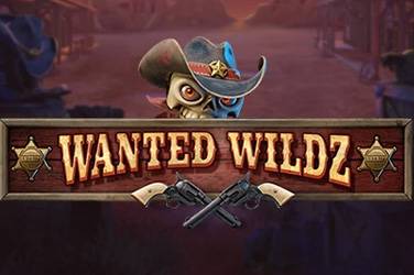 Информация за играта Wanted wildz